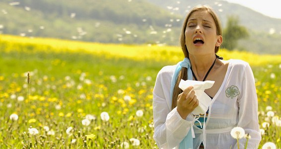 Hayfever